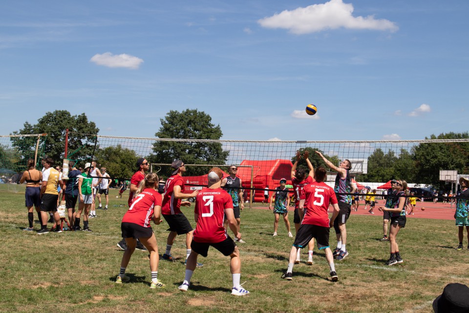 IMG_6658.jpg