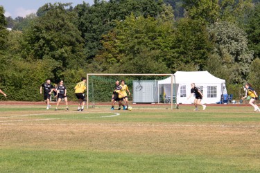 IMG_7490.jpg