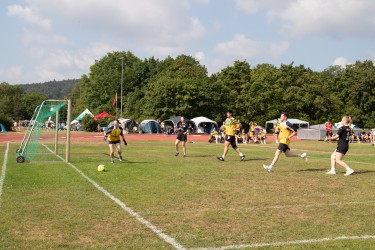IMG_7534.jpg