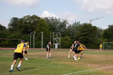IMG_7564.jpg